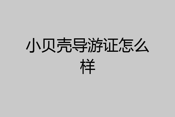 小贝壳导游证怎么样
