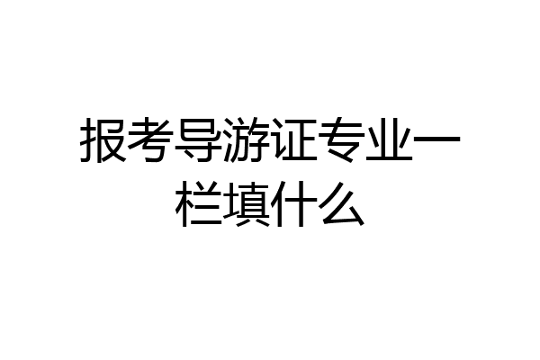 报考导游证专业一栏填什么
