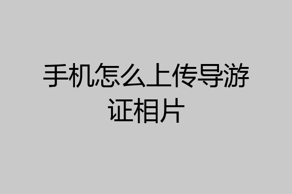 手机怎么上传导游证相片