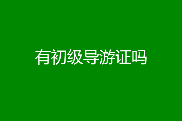 有初级导游证吗