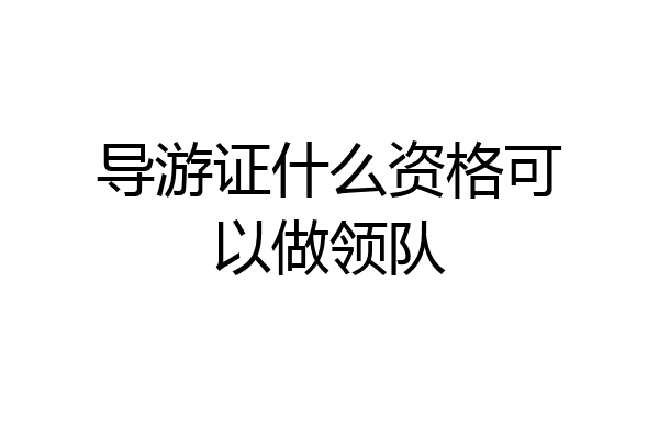 导游证什么资格可以做领队