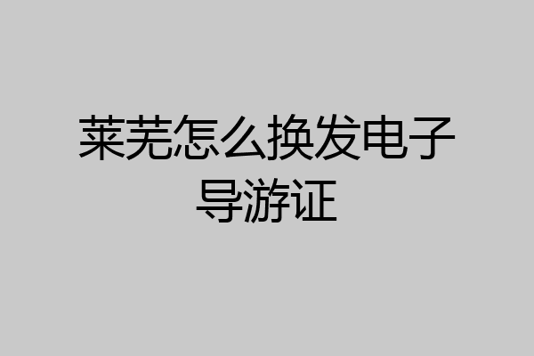 莱芜怎么换发电子导游证