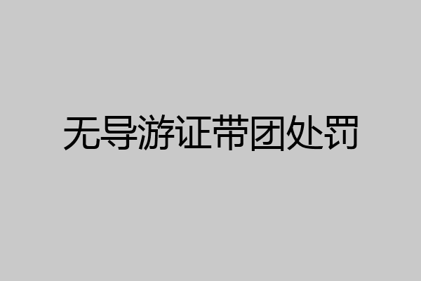 无导游证带团处罚