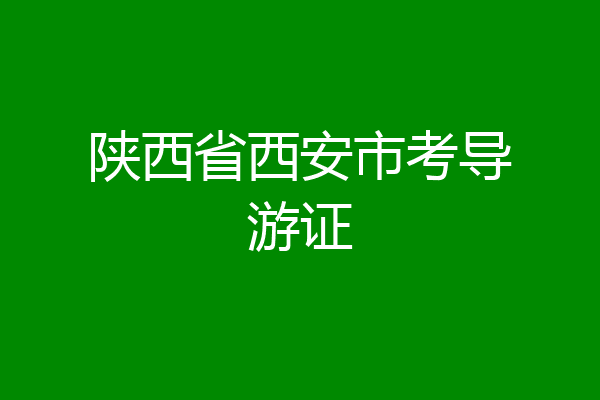 陕西省西安市考导游证