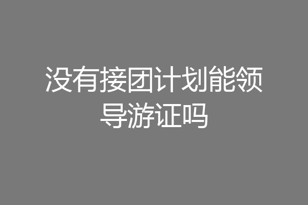 没有接团计划能领导游证吗