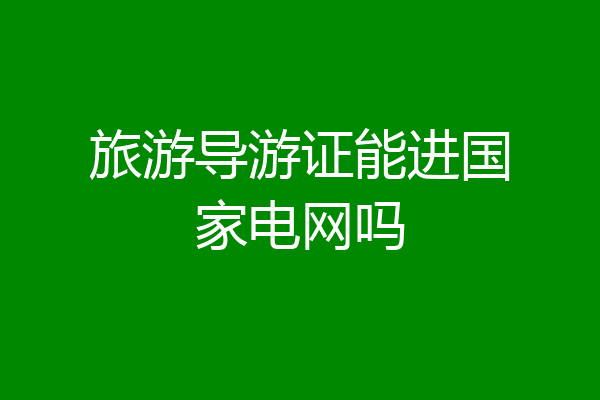 旅游导游证能进国家电网吗