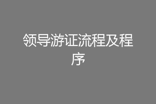 领导游证流程及程序