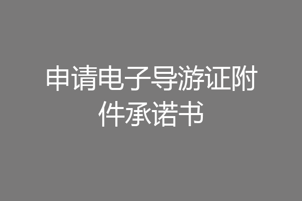 申请电子导游证附件承诺书