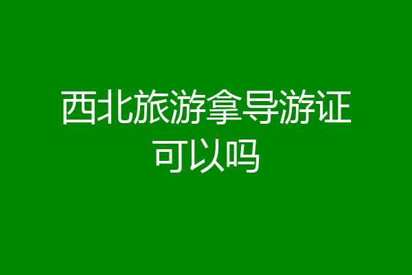 西北旅游拿导游证可以吗