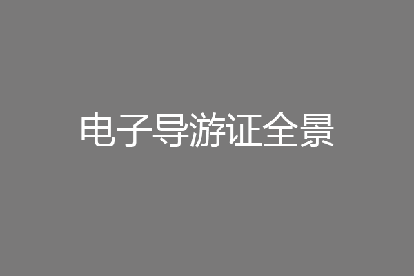 电子导游证全景