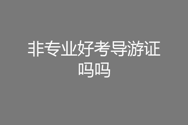 非专业好考导游证吗吗