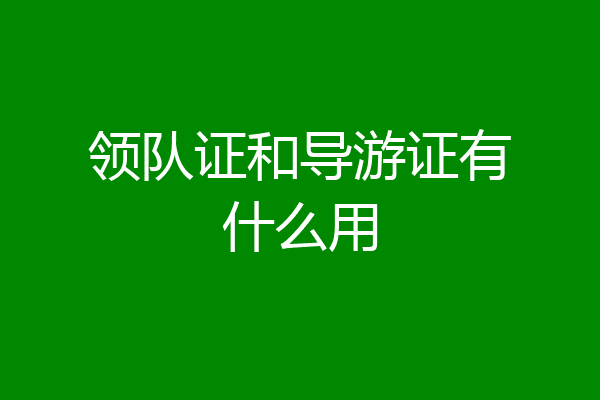 领队证和导游证有什么用