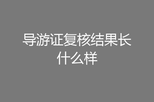 导游证复核结果长什么样