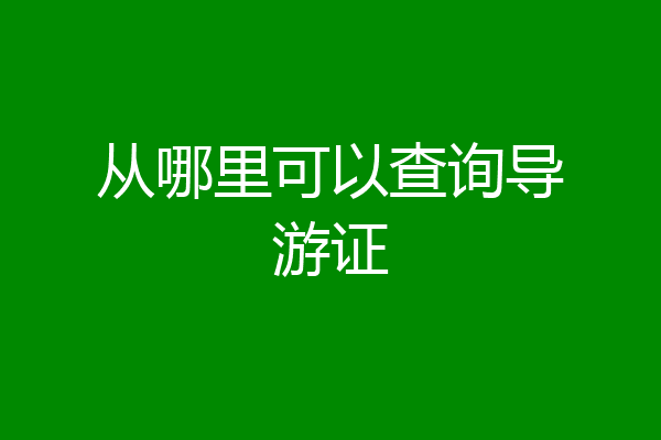 从哪里可以查询导游证