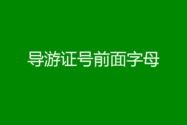导游证号前面字母