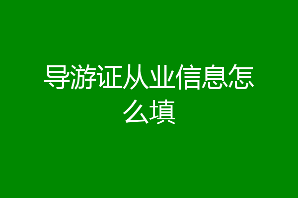 导游证从业信息怎么填