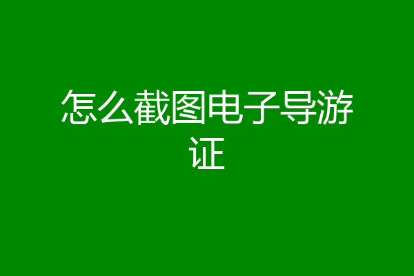 怎么截图电子导游证