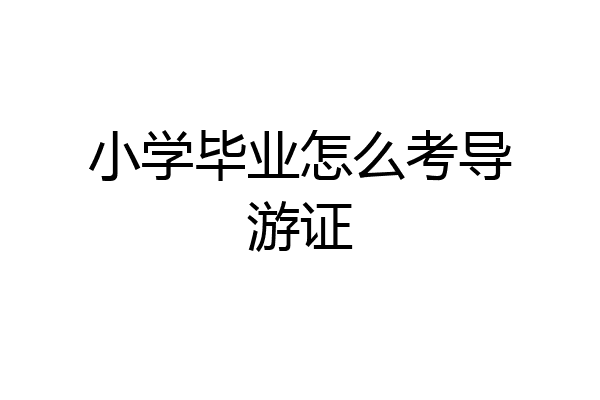 小学毕业怎么考导游证