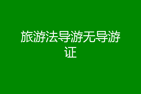 旅游法导游无导游证