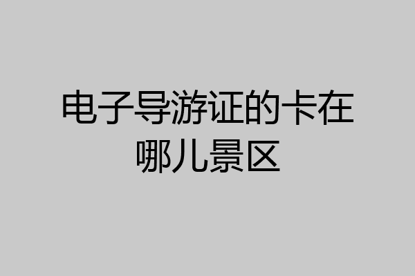电子导游证的卡在哪儿景区