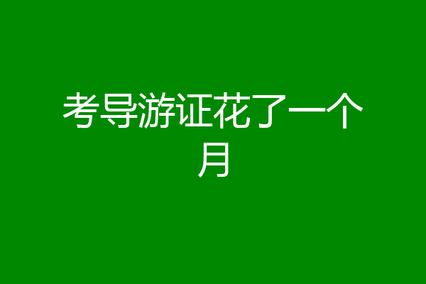 考导游证花了一个月
