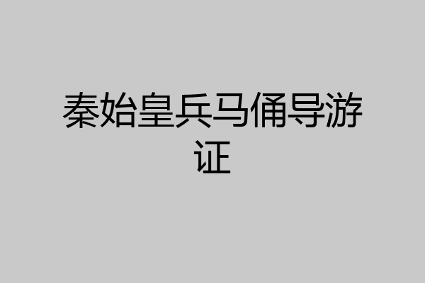 秦始皇兵马俑导游证