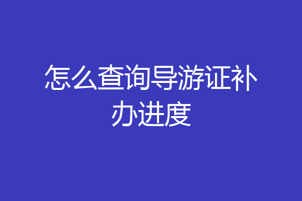 怎么查询导游证补办进度