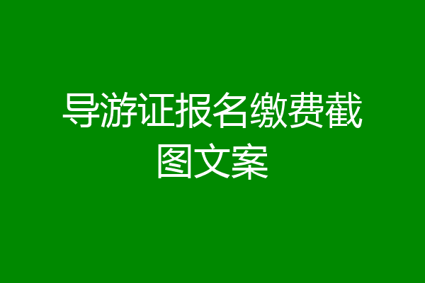 导游证报名缴费截图文案