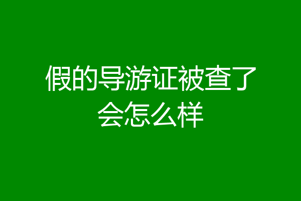 假的导游证被查了会怎么样
