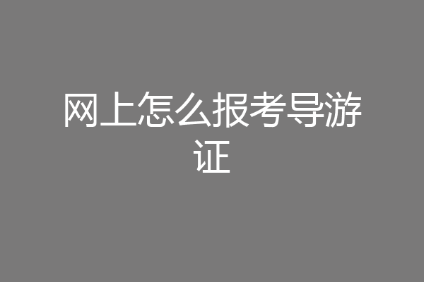 网上怎么报考导游证