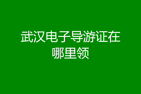 武汉电子导游证在哪里领