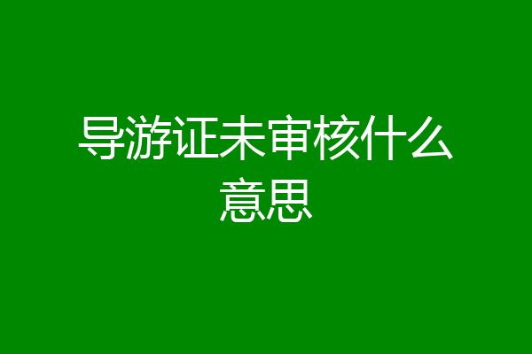 导游证未审核什么意思