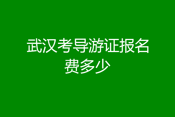 武汉考导游证报名费多少