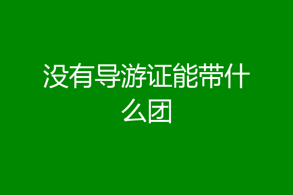 没有导游证能带什么团