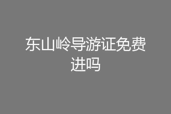 东山岭导游证免费进吗