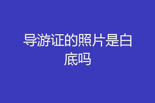导游证的照片是白底吗