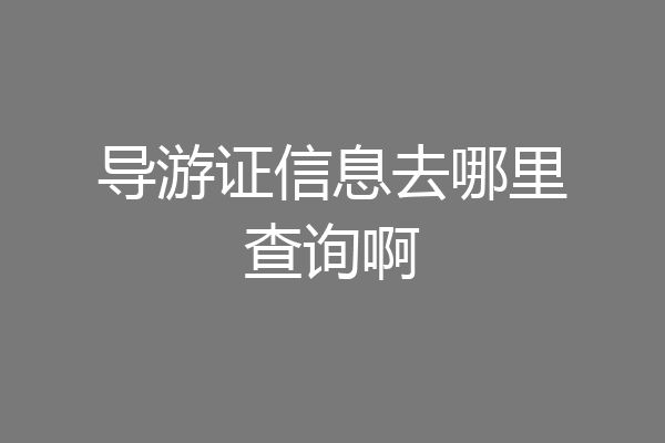 导游证信息去哪里查询啊
