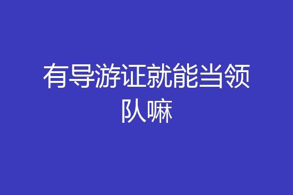 有导游证就能当领队嘛