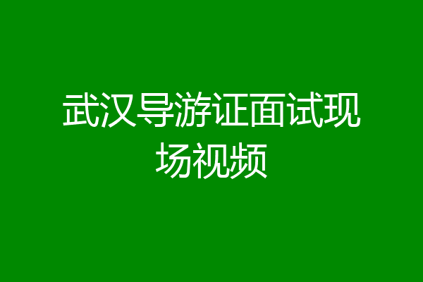 武汉导游证面试现场视频