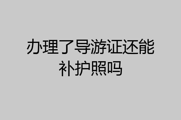 办理了导游证还能补护照吗