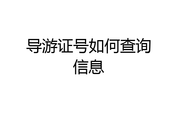 导游证号如何查询信息