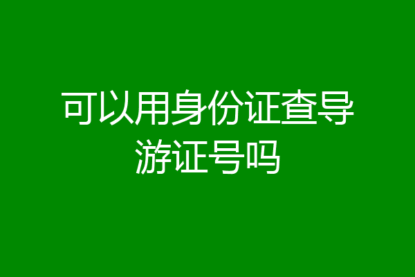 可以用身份证查导游证号吗