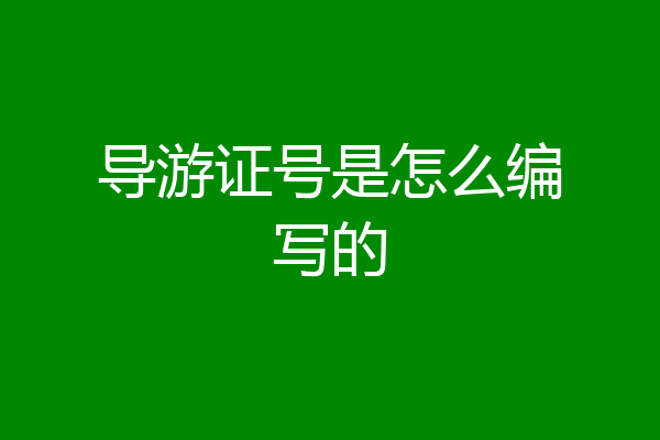 导游证号是怎么编写的