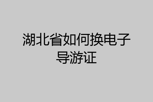 湖北省如何换电子导游证
