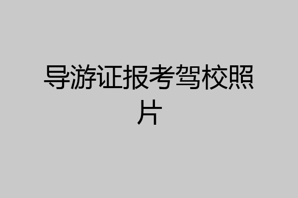 导游证报考驾校照片