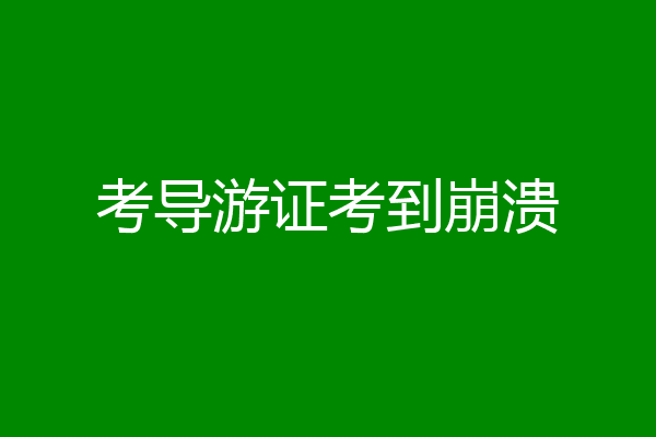 考导游证考到崩溃