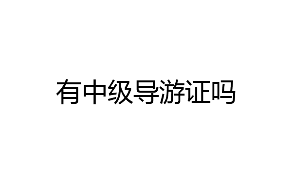 有中级导游证吗