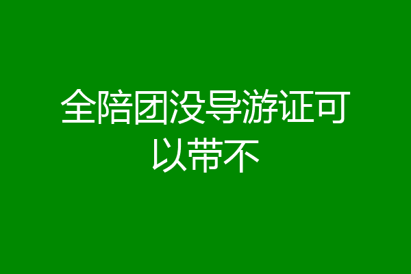 全陪团没导游证可以带不