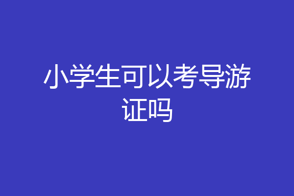 小学生可以考导游证吗