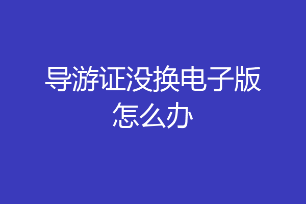 导游证没换电子版怎么办